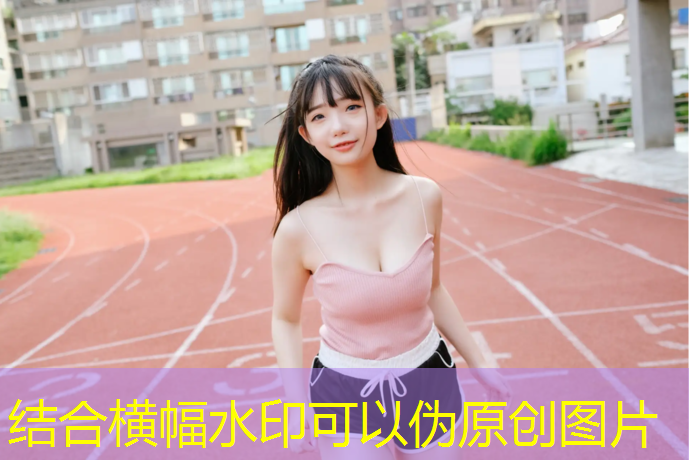 室内乒乓球台怎么维护好