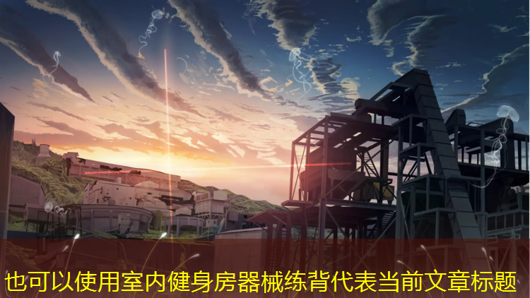 室内健身房器械练背